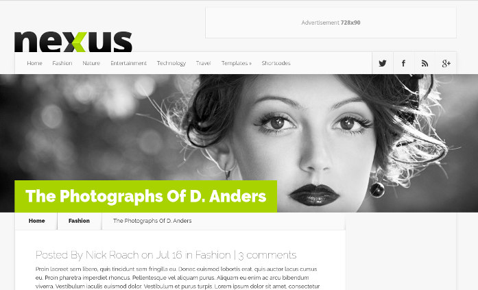 Nexus theme WordPress design