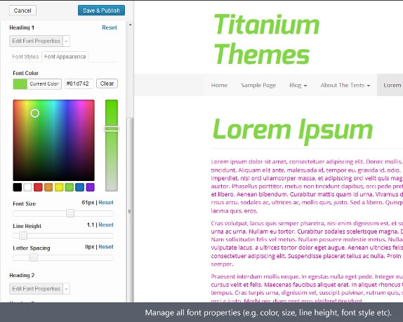 google font wordpress