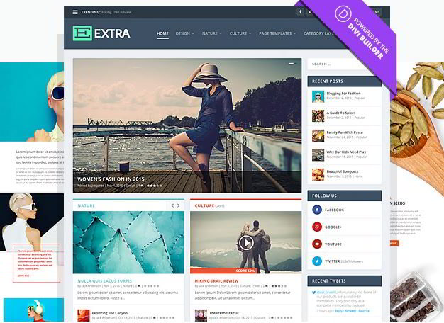 extra wordpress theme review 2016 